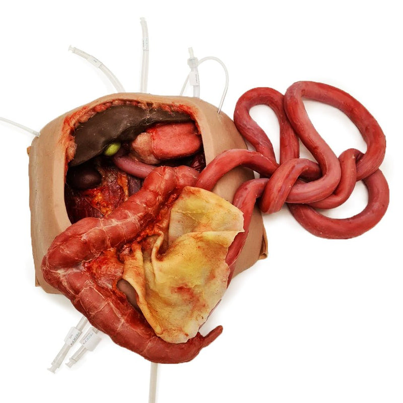 Realistic Surgical Abdominal Training Model for Medical Procedures