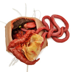 Realistic Surgical Abdominal Training Model for Medical Procedures