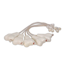 Replacement 5-Pack Femur Bones For Penny Pediatric IO Leg