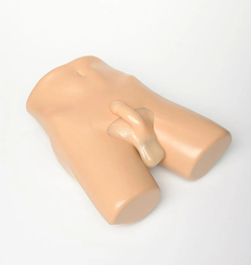 Scrotal Ultrasound Training Model