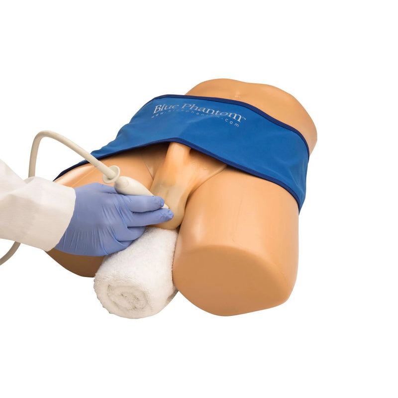 Scrotal Ultrasound Training Model