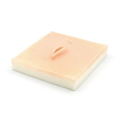 Sheep Vulva Surgical Suture Training Pad for Veterinary Education