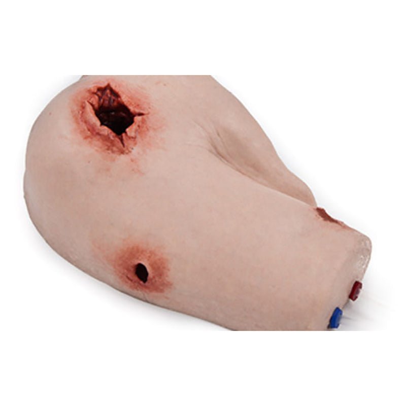 Simbodies Shoulder Wound Packing Trainer