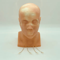 Standard Adult Head Phantom for X-Ray CT, Ultrasound and MRI