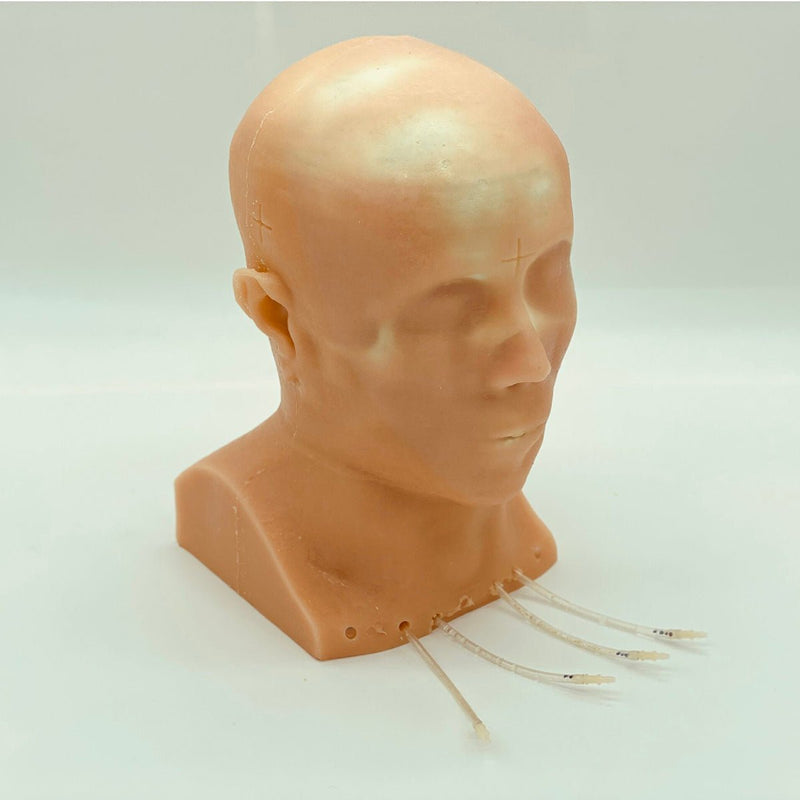 Standard Adult Head Phantom for X-Ray CT, Ultrasound and MRI