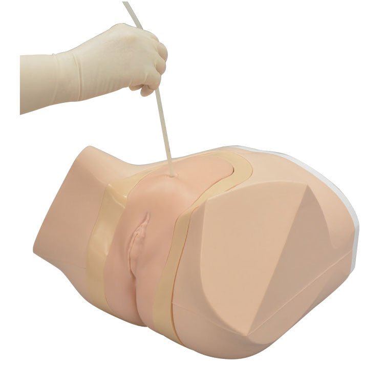 Suprapubic Catheter Care Simulator