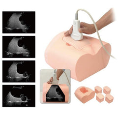 Urine Volume Measurement Training Simulator for Bladder Scanners Only