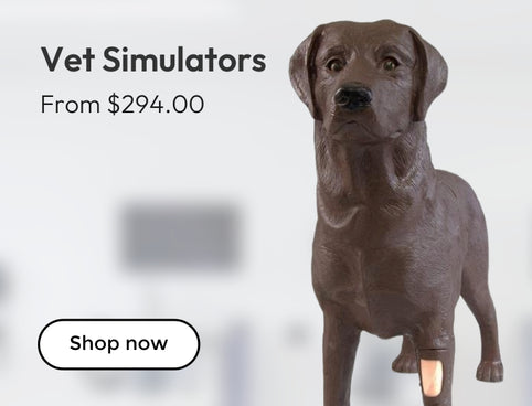 Veterinary Simulators