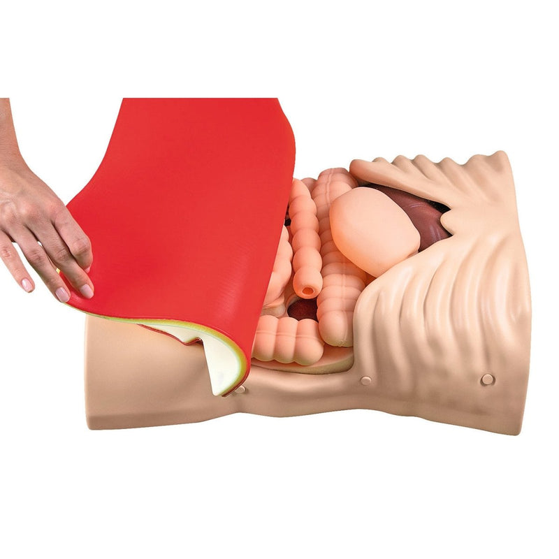 XR-Body - Abdominal Palpation Simulator with Virtual Reality VR Headset