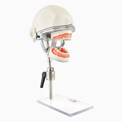 10-Sensor Oral Anesthesia Training Manikin