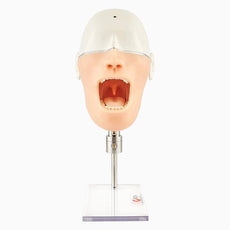 10-Sensor Oral Anesthesia Training Manikin