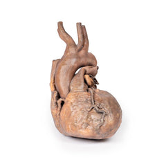 3D Printed Heart