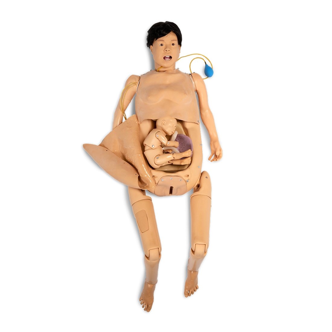 Labor Childbirth Simulator Obstetric- Manikin Model Buyamag – Buyamag INC