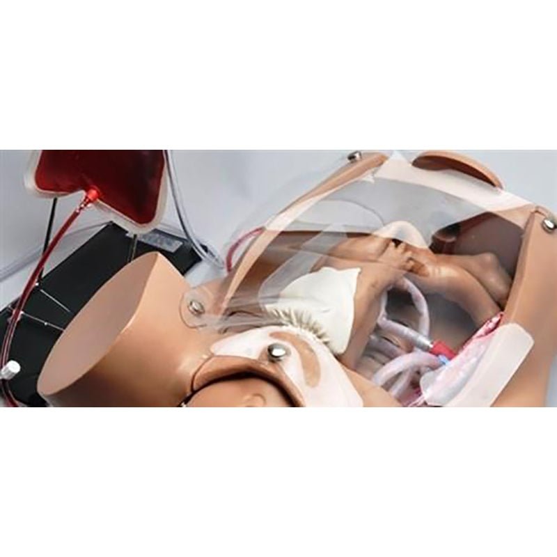 Gaumard® S500 Original Childbirth Simulator 