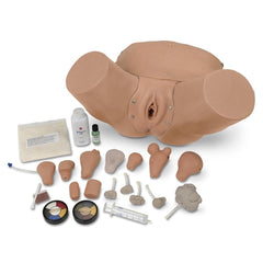 Advanced Pelvic Exam and Gyn Simulator