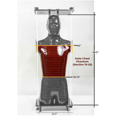 Alderson Radiation Therapy (ART) - Male Chest Phantom