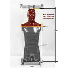 Alderson Radiation Therapy (ART) - Male Head and Neck