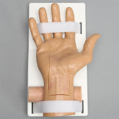 Arthroscopy Carpal Tunnel Hand Model