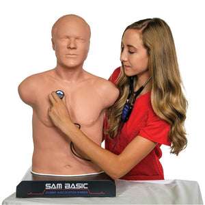 Auscultation Training Set, Introduction Kit