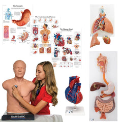 Auscultation Training Set, Introduction Kit