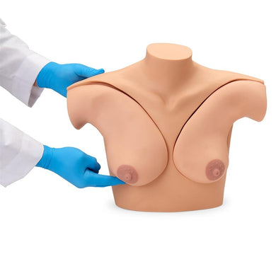 BSE - Breast Self Examination Models