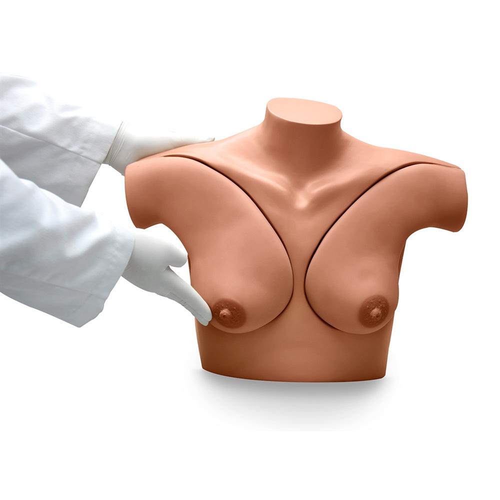 https://www.gtsimulators.com/cdn/shop/products/breast-examination-simulator-s23042-212673_1000x.jpg?v=1671222918