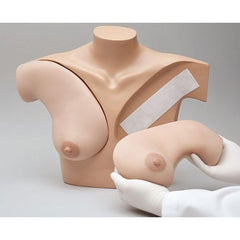 Breast Palpation Simulator for Clinical Teaching, Dark