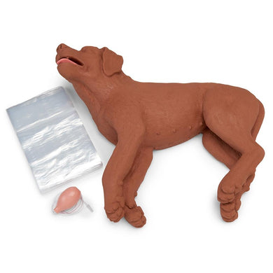 Reusable, Realistic K9 Service Dog Emergency First Aid Training Manikin