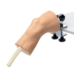 CLA Arthroscopy Model of the Knee-Joint