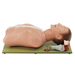 CLA Intubation Torso Model without Case