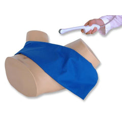 Combination IUP Ectopic Pregnancy Transvaginal Ultrasound Training Model