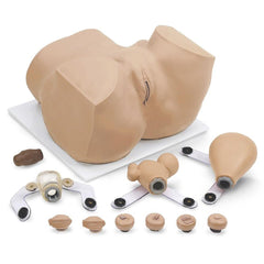 EVA Gynecological Training Manikin