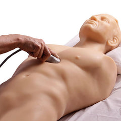 FAST Exam Ultrasound Training Model, Transthoracic and Transesophageal