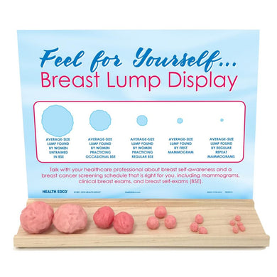 BSE - Breast Self Examination Models