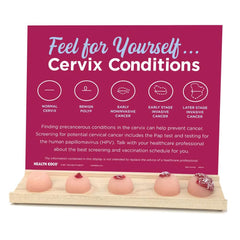 Feel For Yourself: Cervix Conditions Display