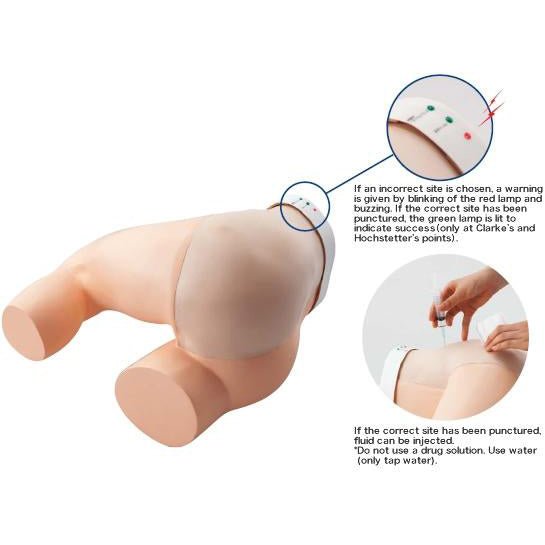 BSE - Breast Self Examination Models