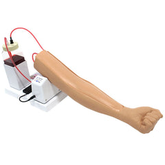 Intravenous Injection Training Arm Model  2 - Adult