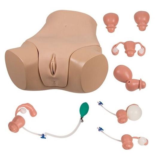 https://www.gtsimulators.com/cdn/shop/products/koken-gynecological-examination-simulator-lm-110-610121_800x.jpg?v=1671223761