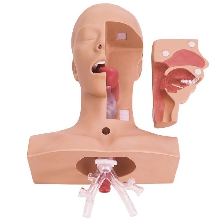 KOKEN Full-Body Pregnancy Simulator II
