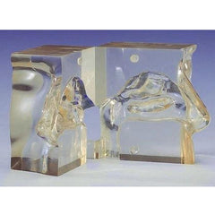 Koken Transparent Nasal Cavity Model