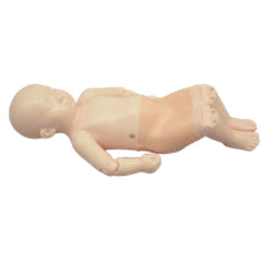 Kyoto Kagaku Infant Hip Sonography Training Phantom