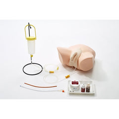 Male Catheterization & Enema Simulator