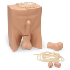 No Scalpel Vasectomy (NSV) Simulator, Light