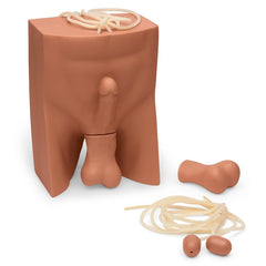 No Scalpel Vasectomy (NSV) Simulator, Medium