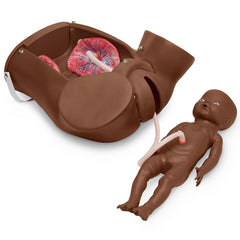 OB Susie® - The Original Childbirth Skills Trainer, Dark