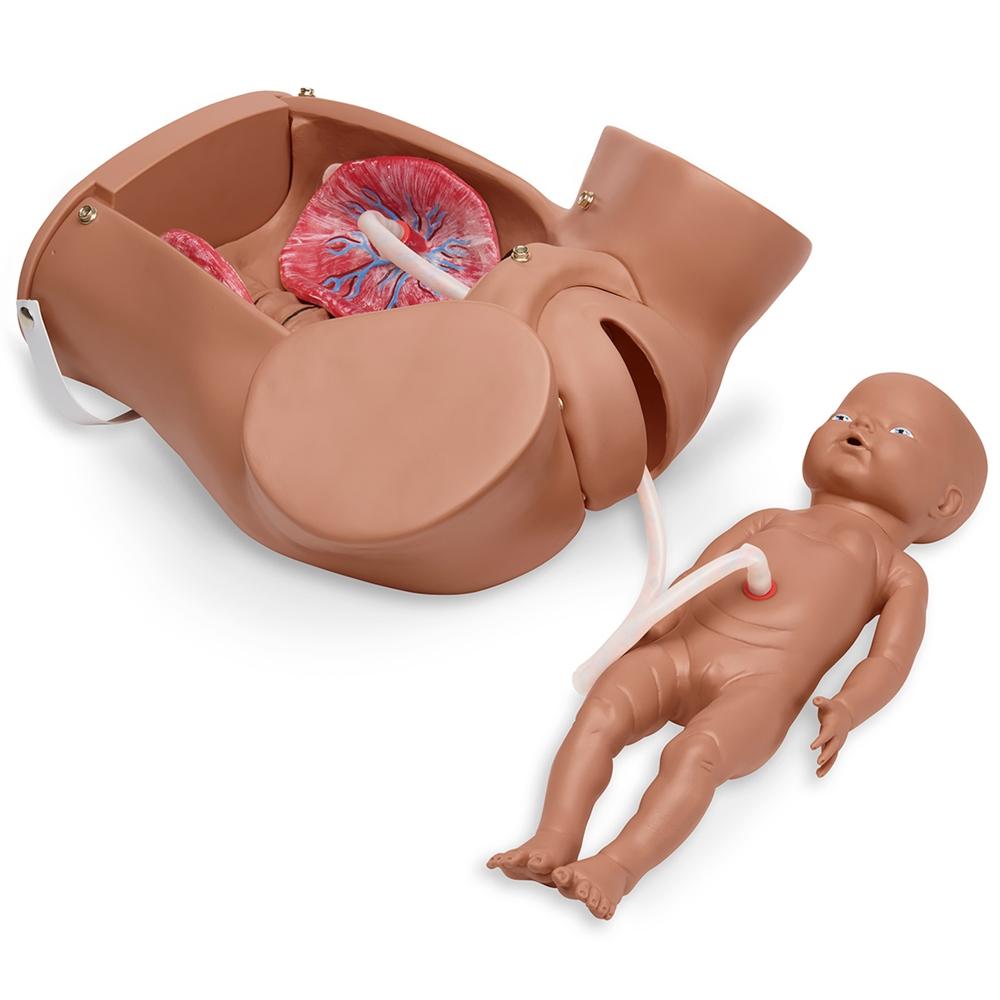 Advanced childbirth simulator W45025