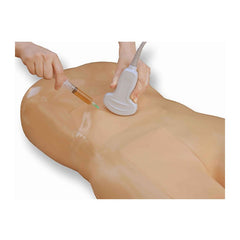 Paracentesis Ultrasound Training Model