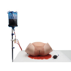 Postpartum Hemorrhage Simulator - PPH Trainer P97 PRO