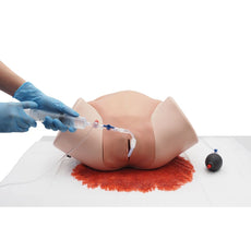 Postpartum Hemorrhage Simulator - PPH Trainer P97 PRO