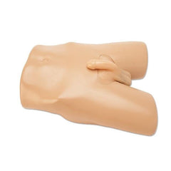 Scrotal Ultrasound Training Model